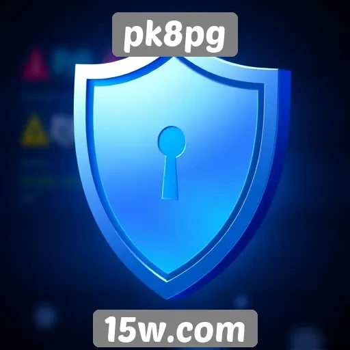 Aspectos de segurança no site pk8pg